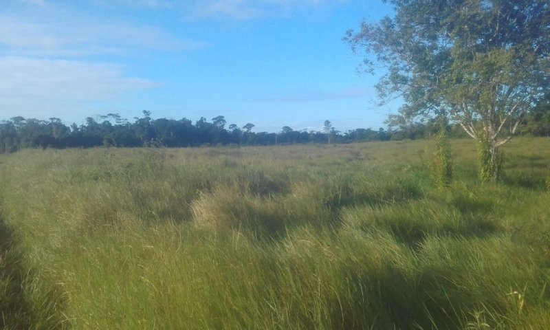 Fazenda - Venda - Área Rural - Belmonte - BA