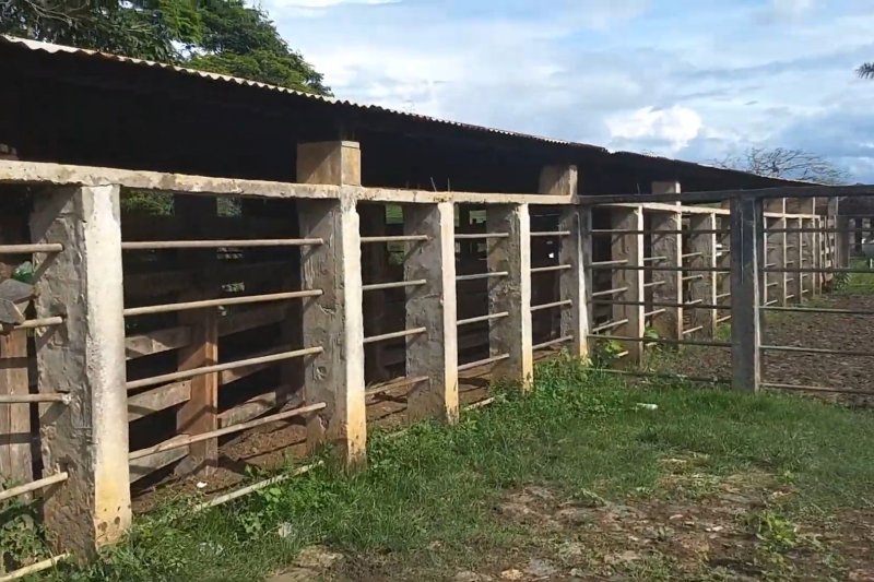 Fazenda - Venda - rea Rural - Pau Brasil - BA