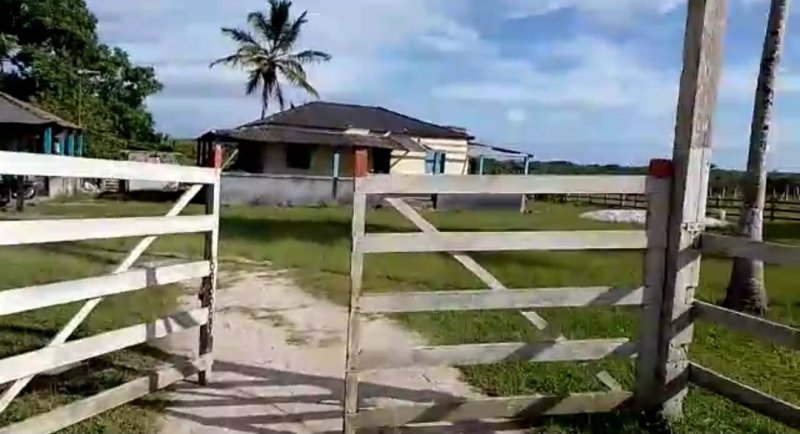 Fazenda - Venda - Área Rural - Santa Luzia - BA